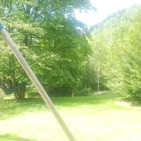 بيت للعطل Chalet Familial Authentique, Activites Enfants, Nature Et Calme, Proche Gerardmer Et La Bresse - Fr-1-589-639 فينترون